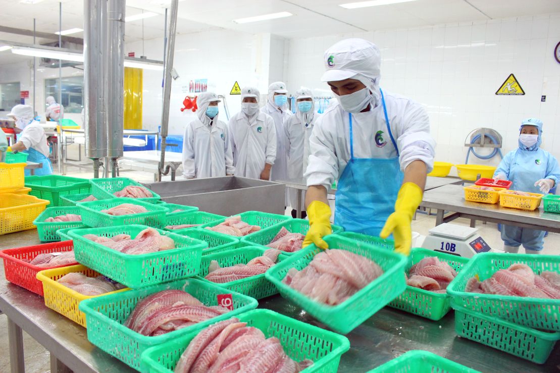 LĐLĐ tỉnh Đồng Tháp phấn đấu đến 2030 có 100% CNLĐ được phổ biến về công nghệ thông tin, công nghệ số. Ảnh: Thanh Mai 