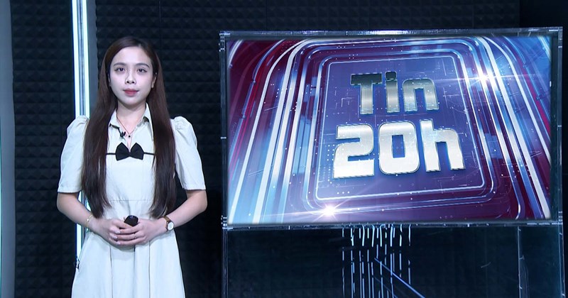 8 PM News: Xử lý đấu nối điện trái phép trên đèo Bảo Lộc