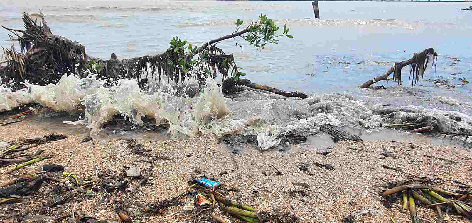 A section of the East Sea dike, Ca Mau seriously eroded. Photo: Nhat Ho.