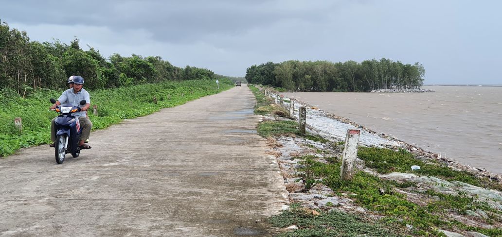 Đê biển Tây nhiều đoạn không còn rừng, cần nâng cấp để bảo vệ rừng, bảo vệ dân khi sạt lở diễn ra. Ảnh: Nhật Hồ.