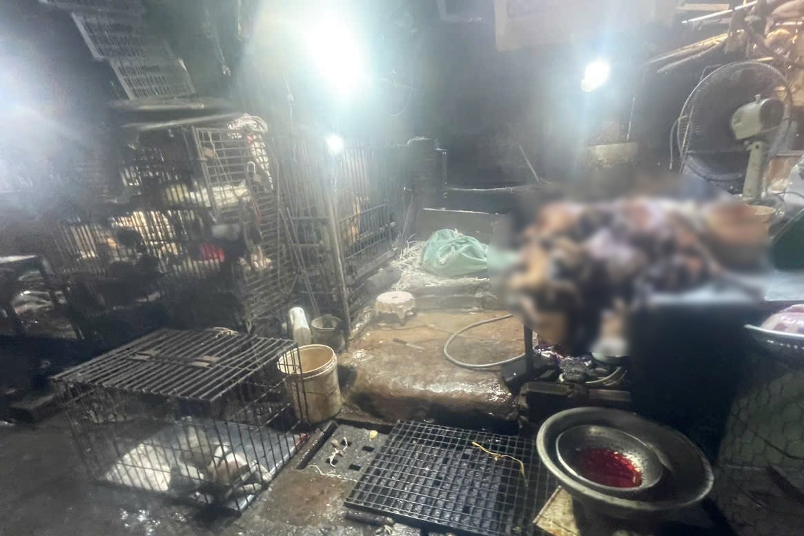 Muchos animales están siendo criados en un matadero de perros y gatos. Foto: Subdepartamento de Ganadería y Veterinaria de la ciudad de Ho Chi Minh