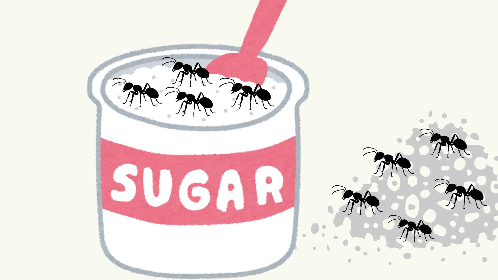 Quick and neat ant killing tips with just kitchen ingredients. Graphic photo: Hoang Loc.