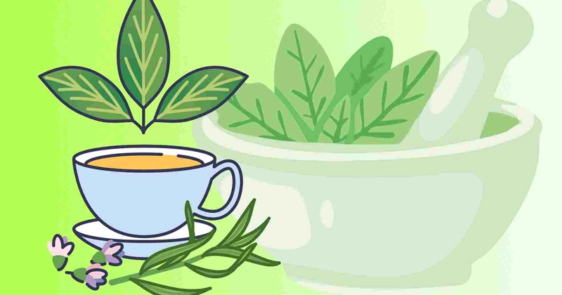 6 loại nước uống thảo dược giúp kiểm soát acid uric hiệu quả