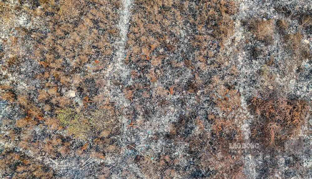 Đám cháy cơ bản đã được khống chế sau thời gian nỗ lực của các lực lượng. Ảnh: Nguyễn Luân 