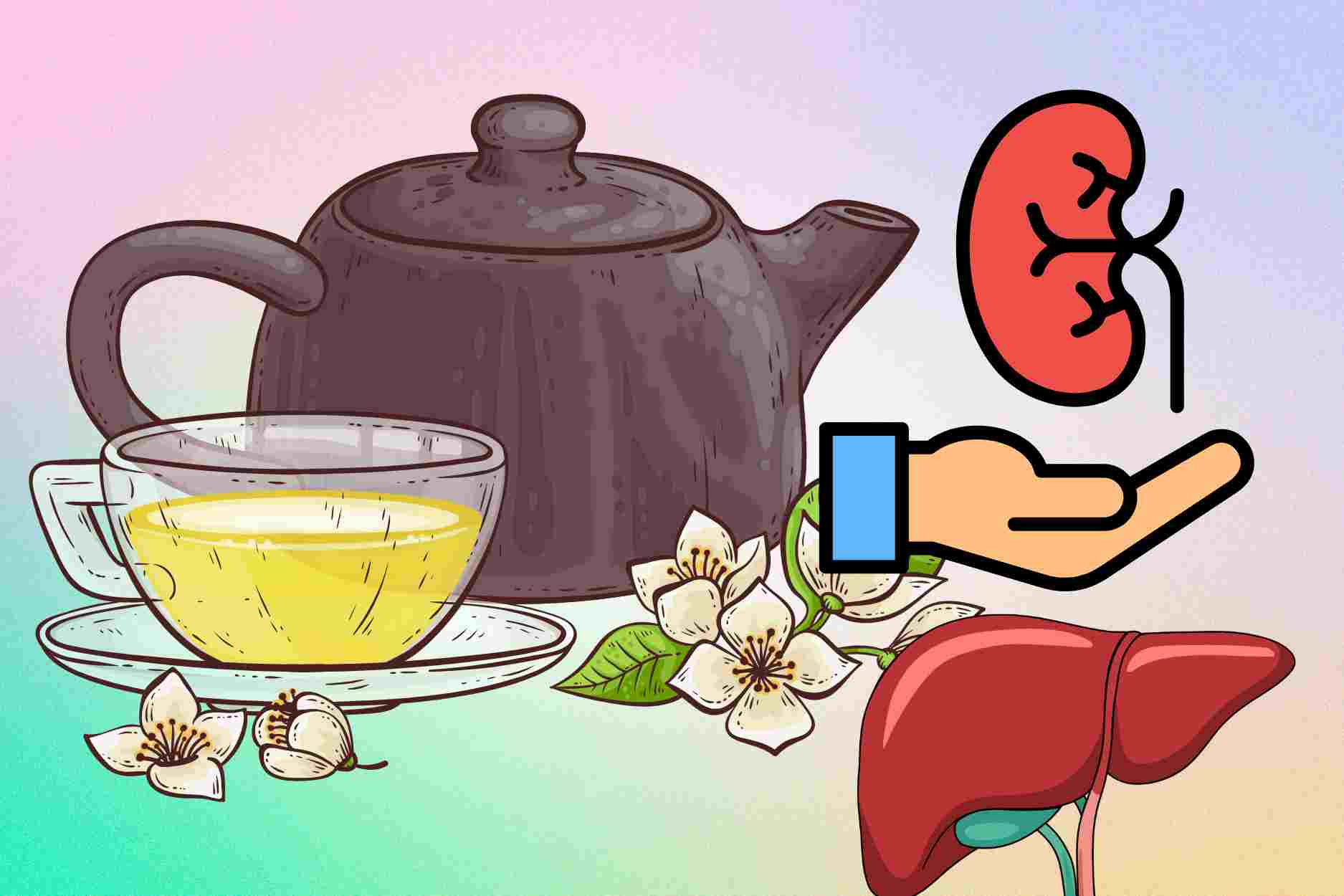 Teas that are good for the liver and kidneys not to be missed