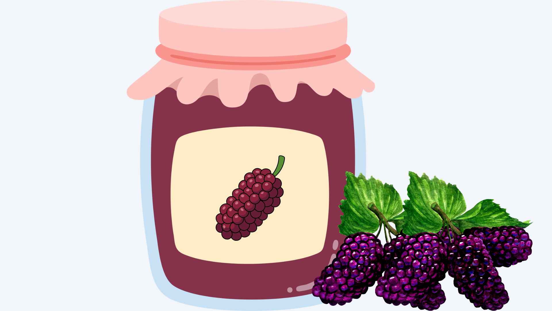 Secrets to soaking delicious mulberries to get beautiful colors. Graphic photo: Hoang Loc.