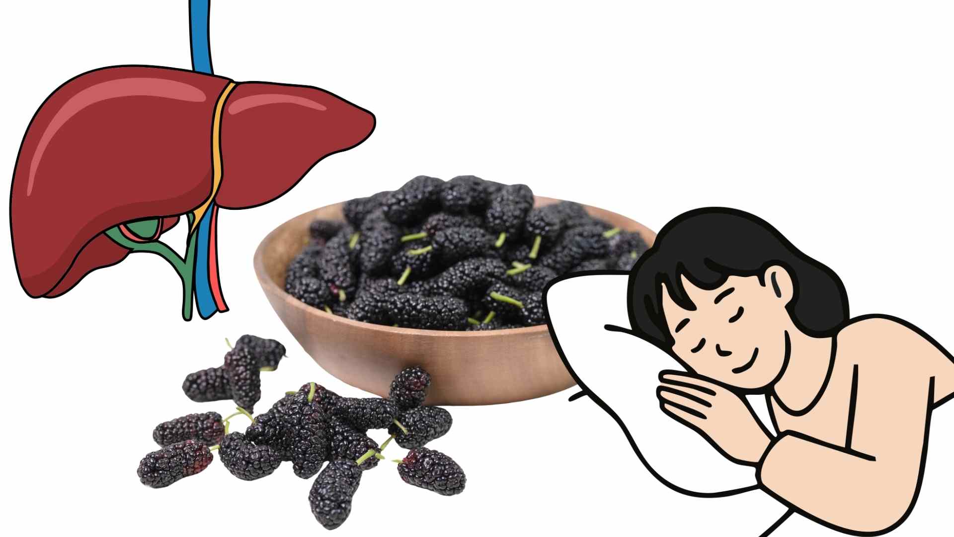 뽕나무 잎 물은 간과 신장을 보하고 수면을 개선하는 데 도움이 됩니다. 그래픽: 하메이