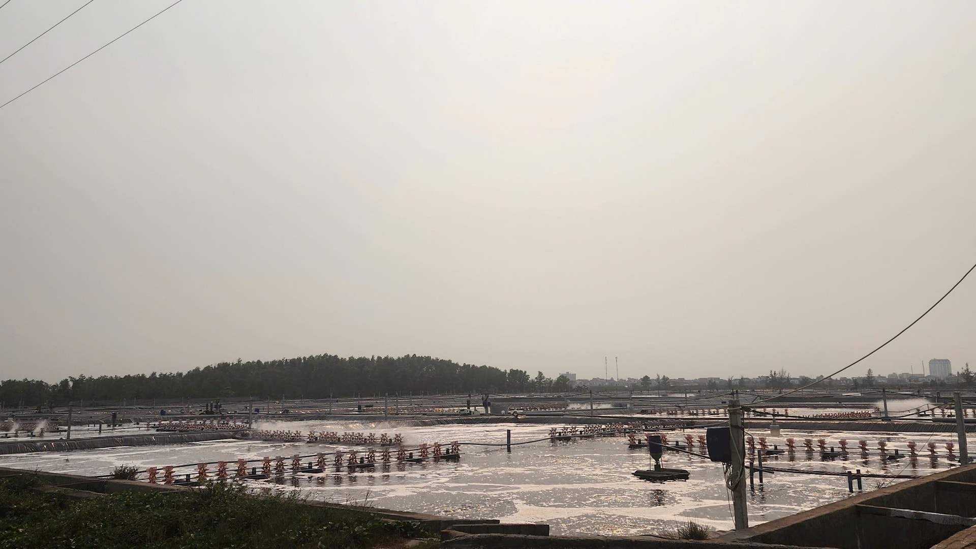 Intimex Vietnam enterprise violates the environment, fined 320 million VND. Photo: Tran Tu