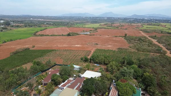 Land brokers arbitrarily advertise for sale, subdivide plots for sale on agricultural land, protection forest land, and land managed by the State. Photo: Thanh Tuan