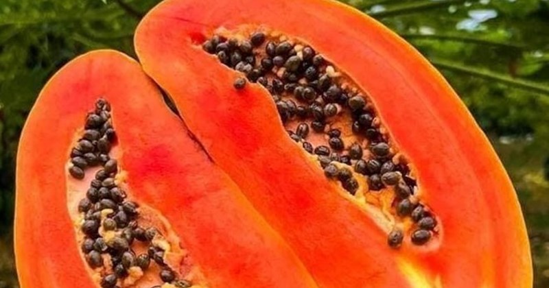 Tăng cường chức năng thận bằng hạt đu đủ