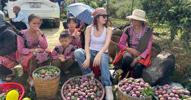 Mận Sơn La chín sớm giá 120 nghìn đồng/kg vẫn hút khách