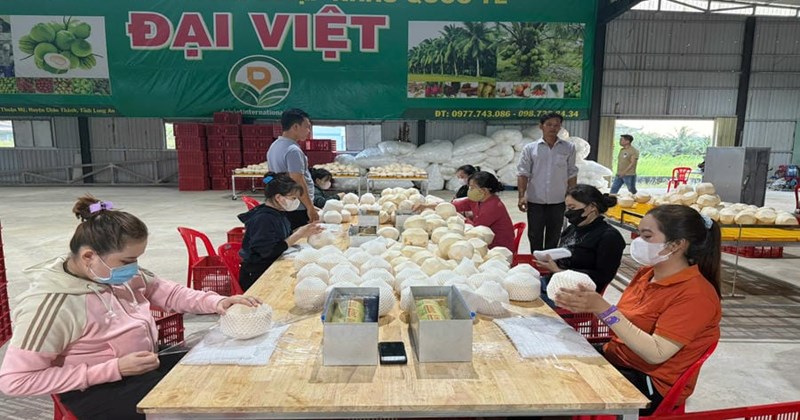 FTA thúc đẩy, đơn hàng xuất khẩu của doanh nghiệp tăng 20-25%