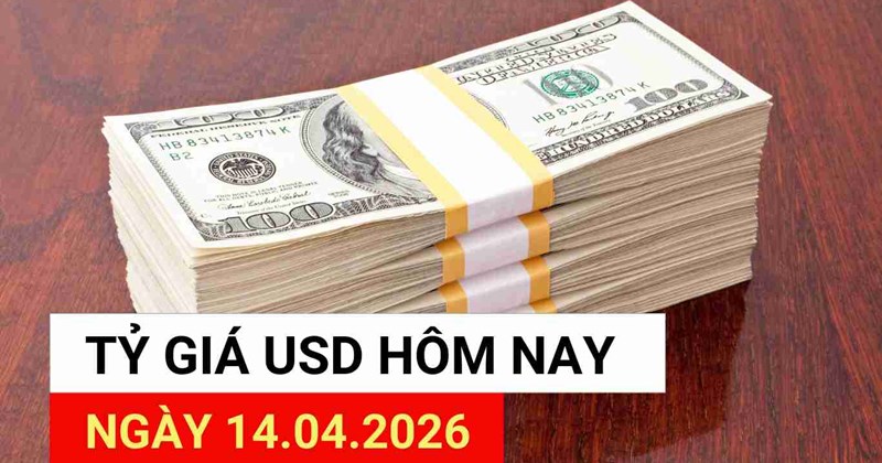 Tỷ giá USD hôm nay (14/4): Xu hướng trái chiều
