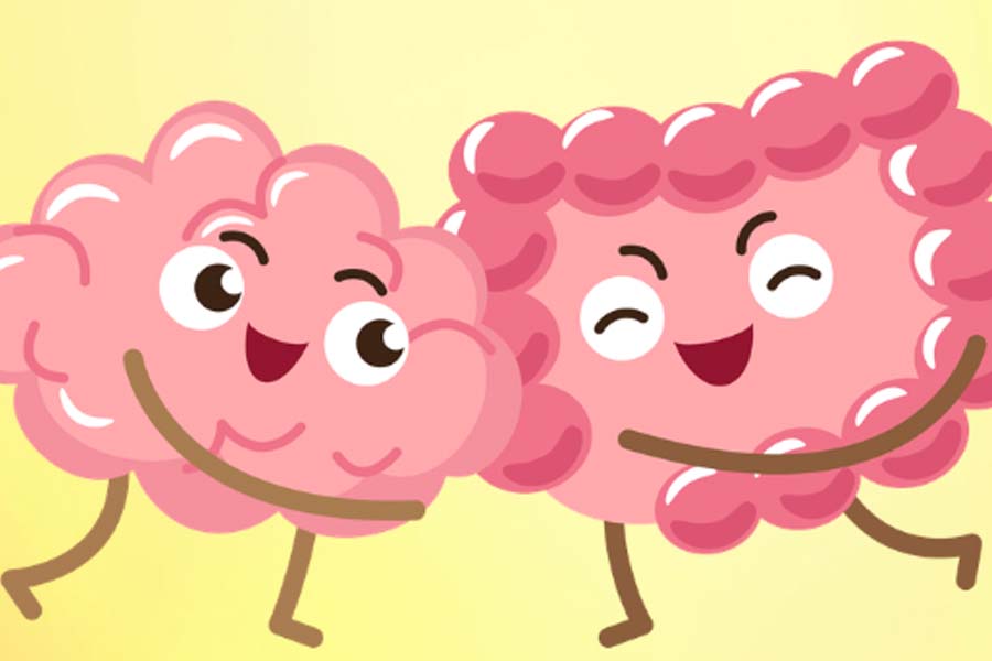 Series of foods to help improve gut brain health every day