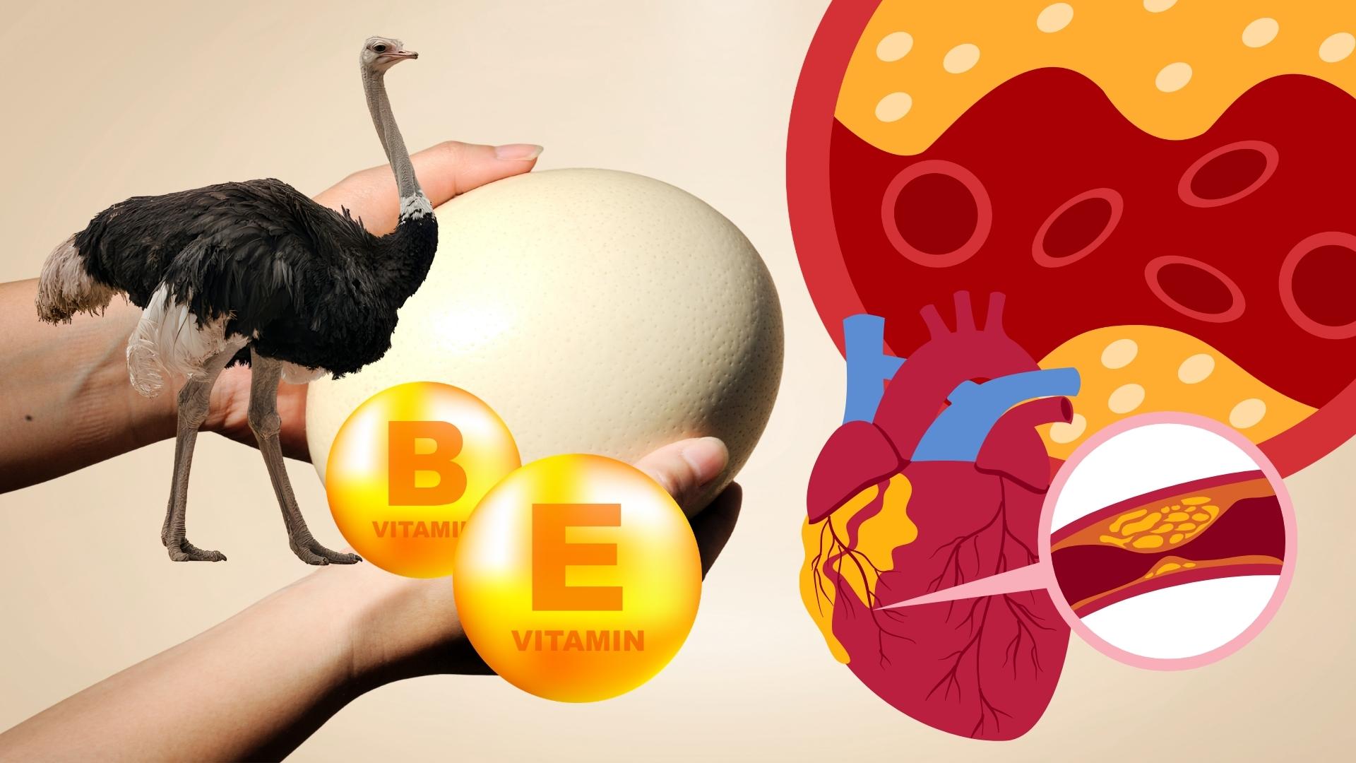 타조알, 영양가, 섭취 시 이점 및 위험