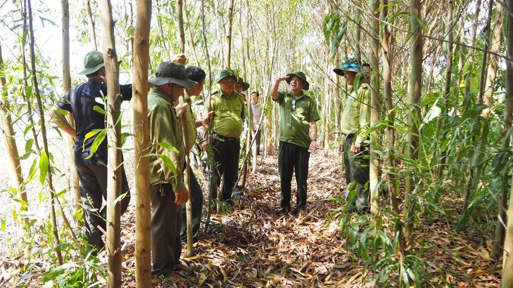 Lực lượng kiểm lâm thường xuyên kiểm tra công tác phòng chống cháy rừng. Ảnh: Văn Bạch.