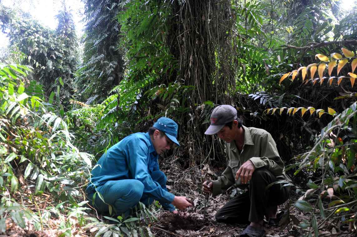 Khô hạn, hầu hết rừng tràm U Minh Hạ đã kiệt nước dễ cháy. Ảnh: Nhật Hồ.