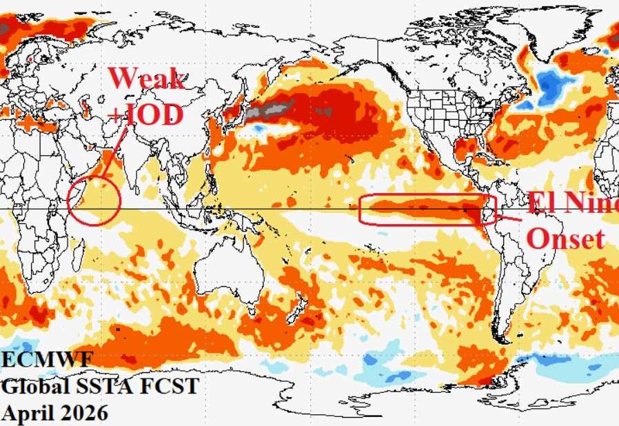El Nino is forecast to return in 2026 with very strong intensity. Photo: ECMWF