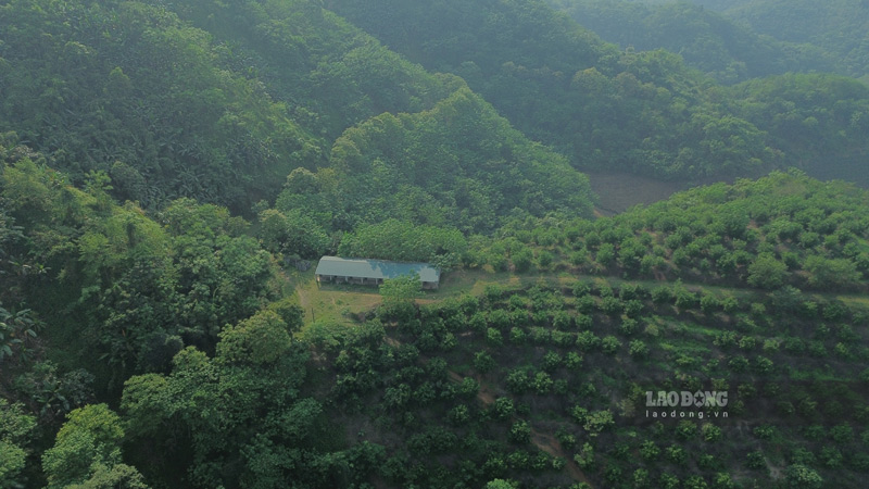 After many years of implementation, large-scale agricultural and forestry projects still face many obstacles in exploiting land funds, posing a difficult problem for investment efficiency and livelihoods for people. Photo: Dinh Dai