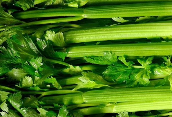 Celery has many health benefits, including supporting weight loss, cooling down, and detoxifying the body. Photo: Kieu Vu