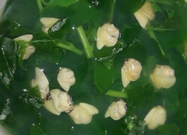 Malabar spinach soup with clams has the ability to support healthy weight loss. Photo: Kieu Vu