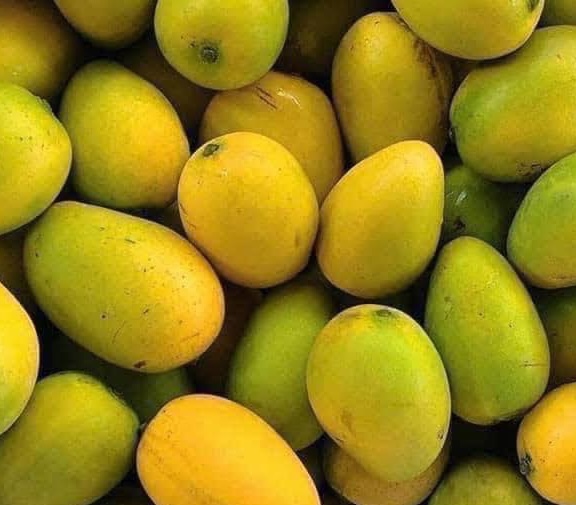 Is mangoes the "culprit" causing heat in the summer? Photo: Kieu Vu