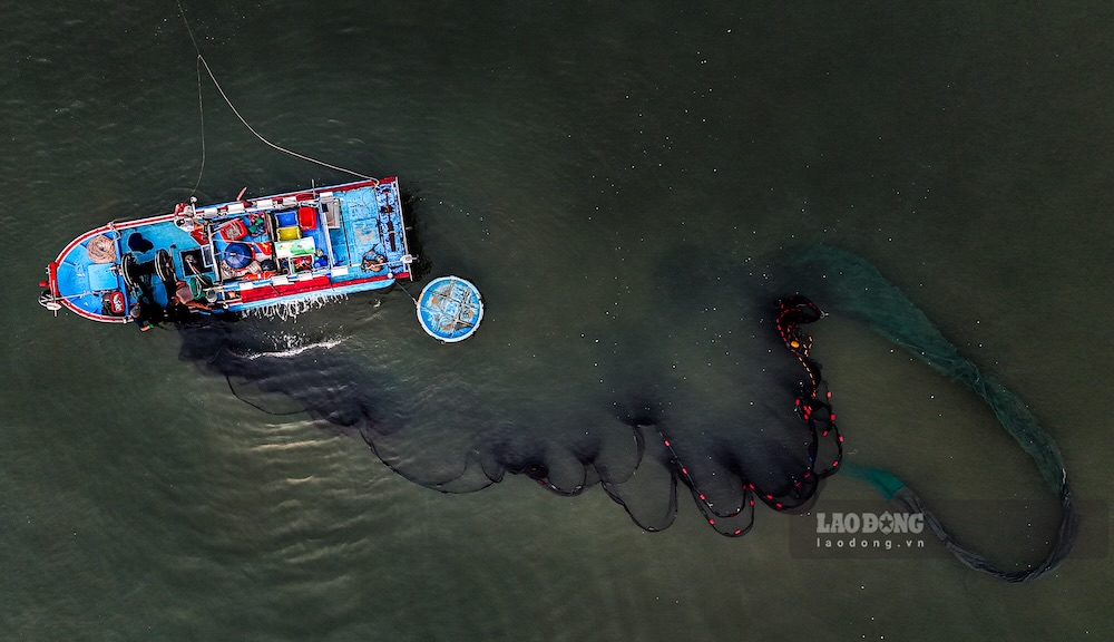 Sau khi hoàn thành công việc, những ngư dân sẽ thả lưới xuống biển để giặt. Ảnh: Nguyễn Luân