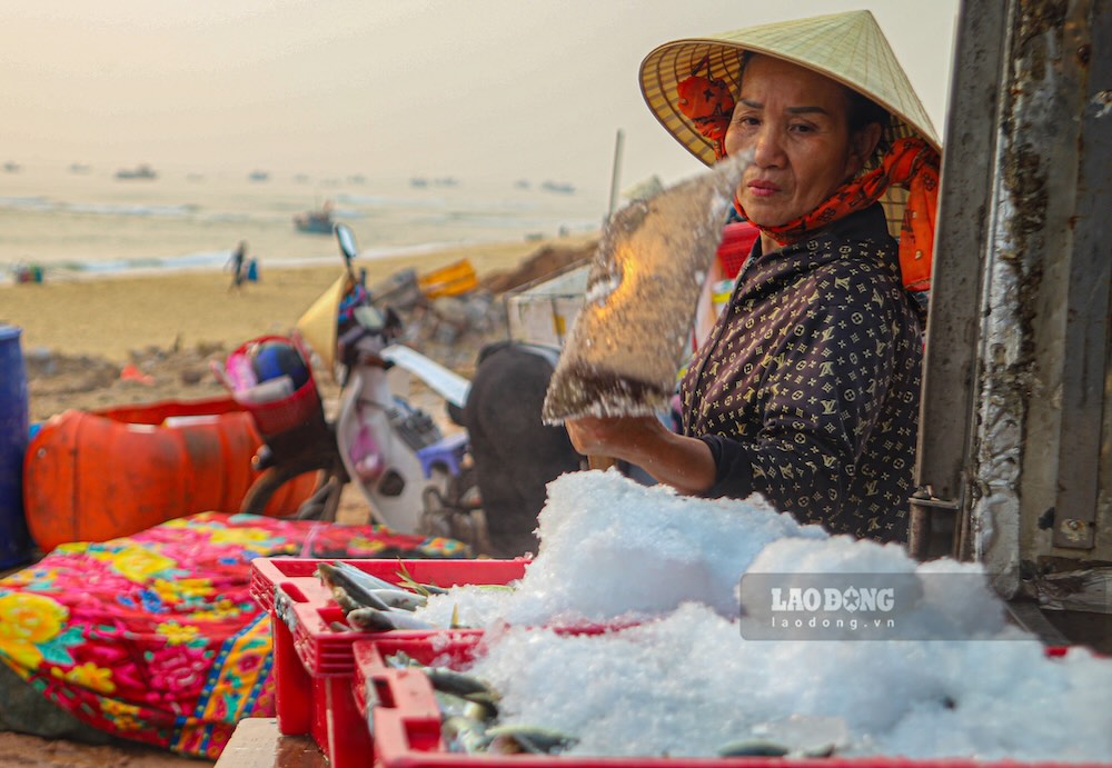 Cá được rửa sạch, ướp đá lạnh rồi đưa lên thùng xe. Ảnh: Nguyễn Luân