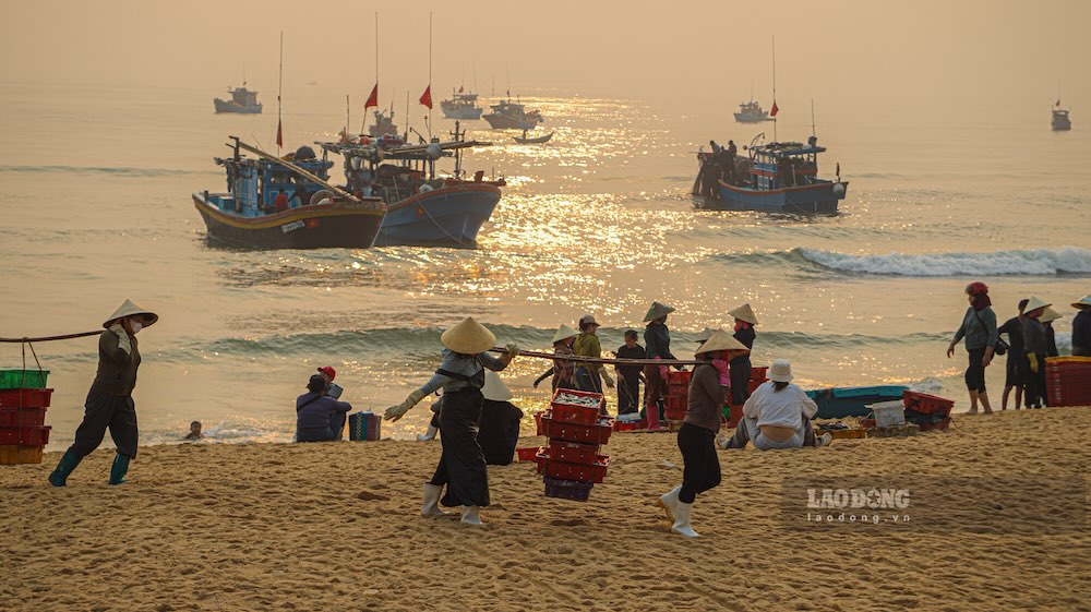 Những người phụ nữ sẽ gánh toàn bộ cá nục đánh bắt được lên chợ tạm trên bờ cho thương lái. Ảnh: Nguyễn Luân