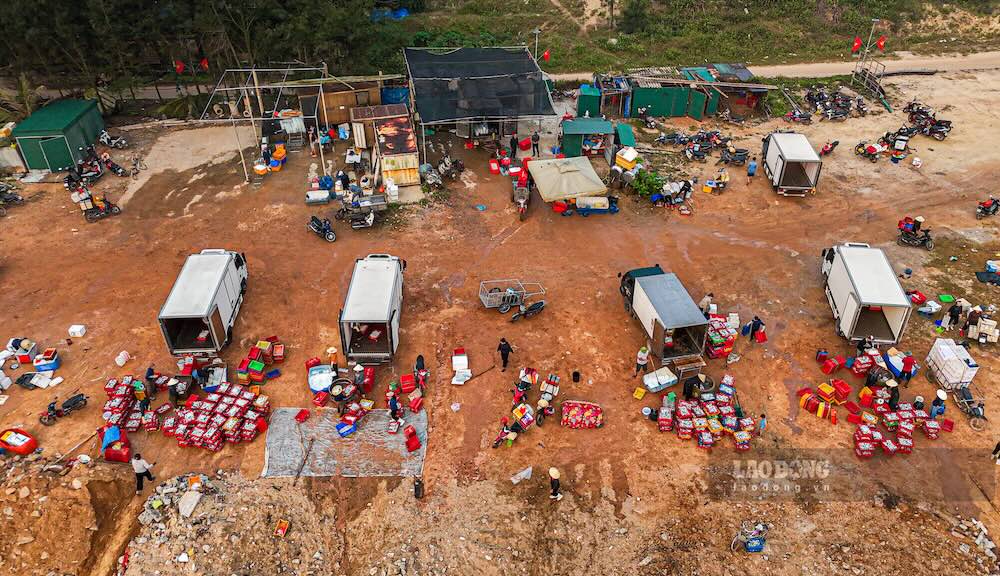 Những chiếc xe tải của thương lái chờ sẵn để tiếp nhận cá của ngư dân. Ảnh: Nguyễn Luân