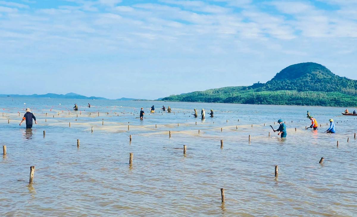 El Comité Popular de la comuna de Quang Ha lanzó una campaña para manejar el área de acuicultura ilegal. Foto: Dinh Hung