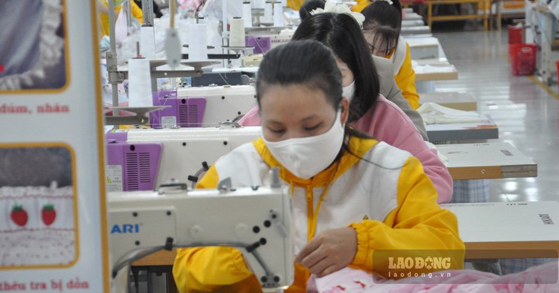 Lào Cai đặt mục tiêu 75% công nhân được đào tạo nghề vào năm 2030