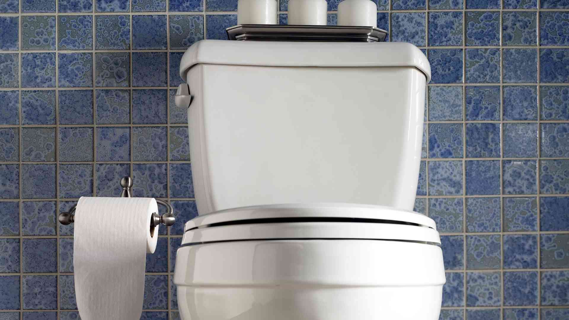 便器の蓋とトイレの蛇口は、しばしば見過ごされる多くの細菌を含む場所です。写真:グエン・リー