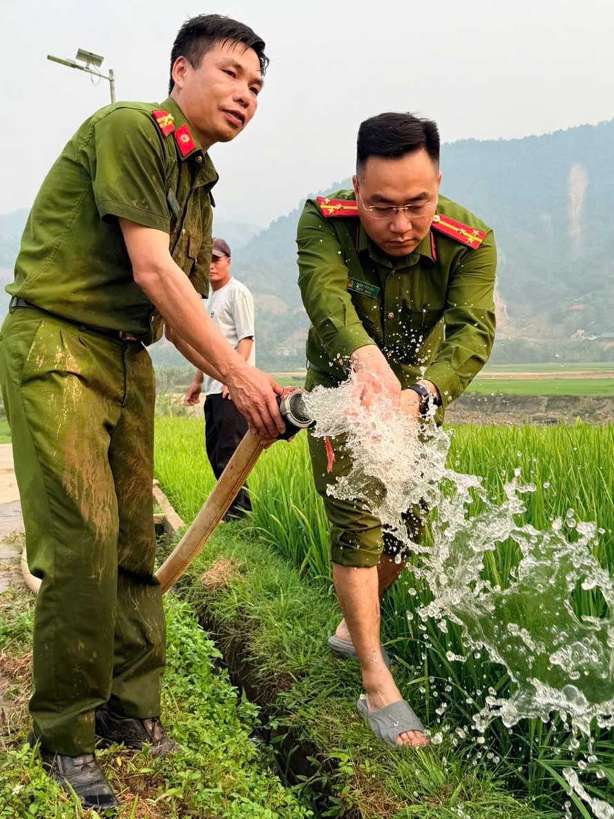 Công an xã Dương Quỳ trực tiếp dẫn nước vào ruộng, cứu lúa giữa nắng hạn. Ảnh: Công an Lào Cai