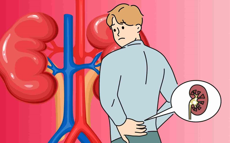 Drinks that help keep kidneys healthy and reduce toxin buildup