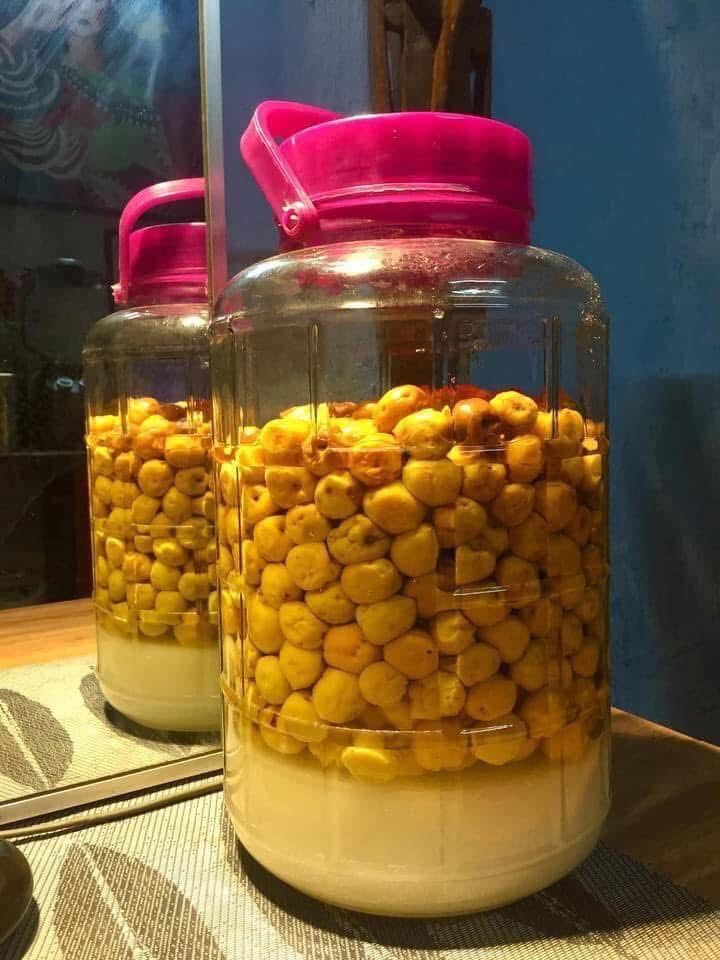 Bình mơ sau 2 tuần ngâm, bí quyết là đảo ngược mỗi ngày đến khi đường tan hết, giúp hạn chế nổi váng. Ảnh: Lăng Việt Cường