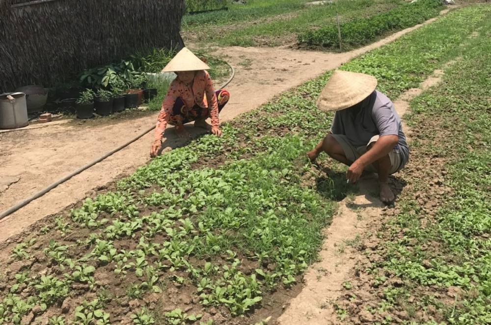 Mrs. Dep and Mr. Tai are sick, the family is exhausted both mentally and economically. Photo: Dieu Hien
