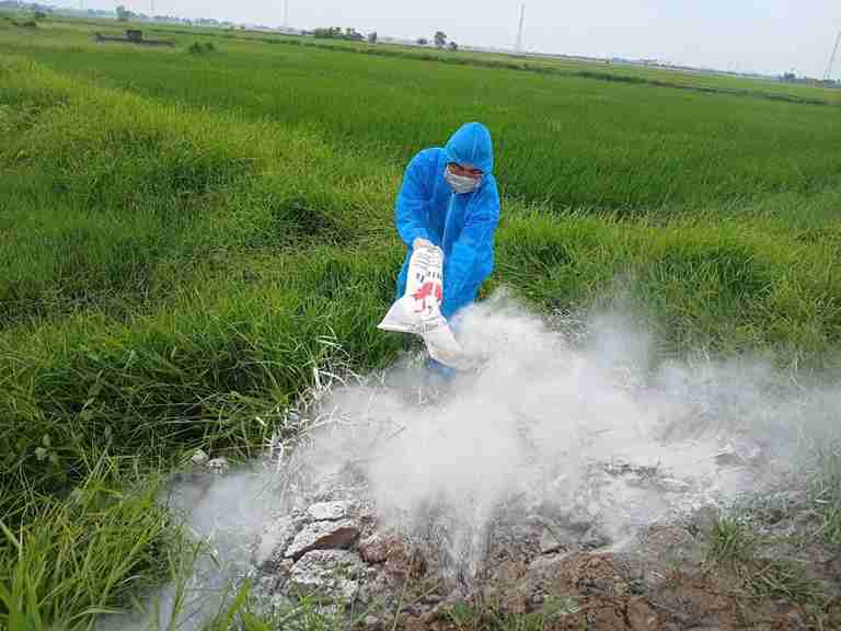 Chính quyền địa phương tăng cường kiểm tra, xử lý vi phạm về môi trường và phòng, chống dịch bệnh.