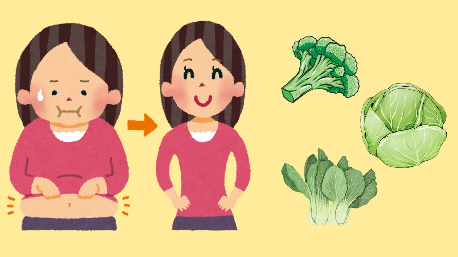 Fiber does not directly burn belly fat but helps stabilize blood sugar and nourish beneficial gut bacteria.