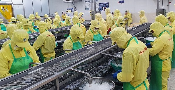 Chế biển thuỷ sản xuất khẩu chưa hấp thụ hết lượng lao động tại Cà Mau. Ảnh: Nhật Hồ.