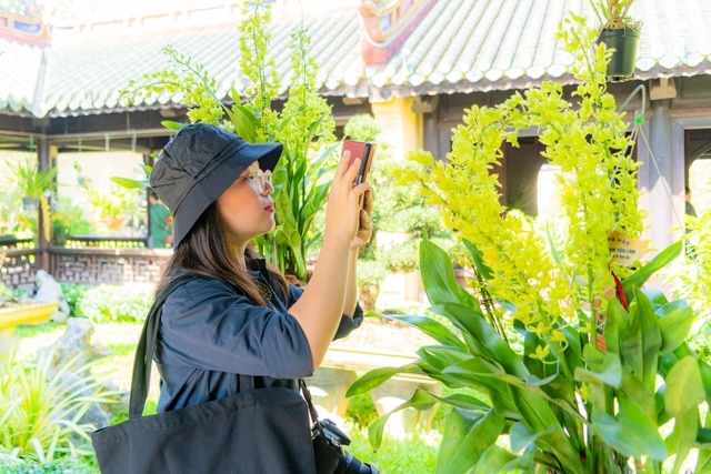 Les touristes visitent des fleurs et des plantes ornementales dans les vestiges de Hué. Photo: Quang An.