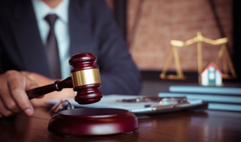 8省庁、10地方自治体で公認弁護士制度の試験運用を実施する予定。写真:VGP