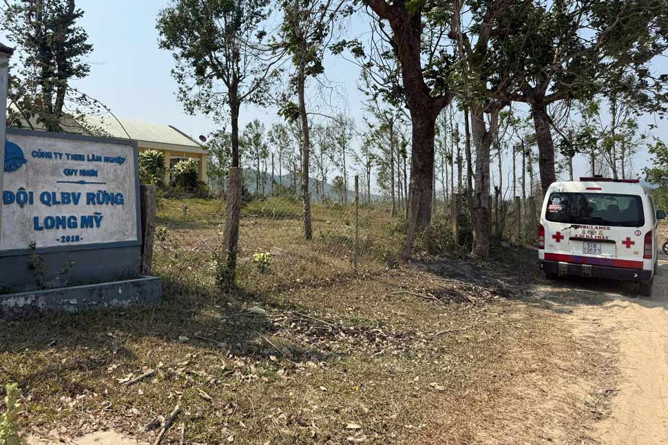 5 miembros de Quy Nhon Forestry Co., Ltd. fueron atacados inesperadamente por abejas mientras inspeccionaban el bosque. Foto: Thanh Tri