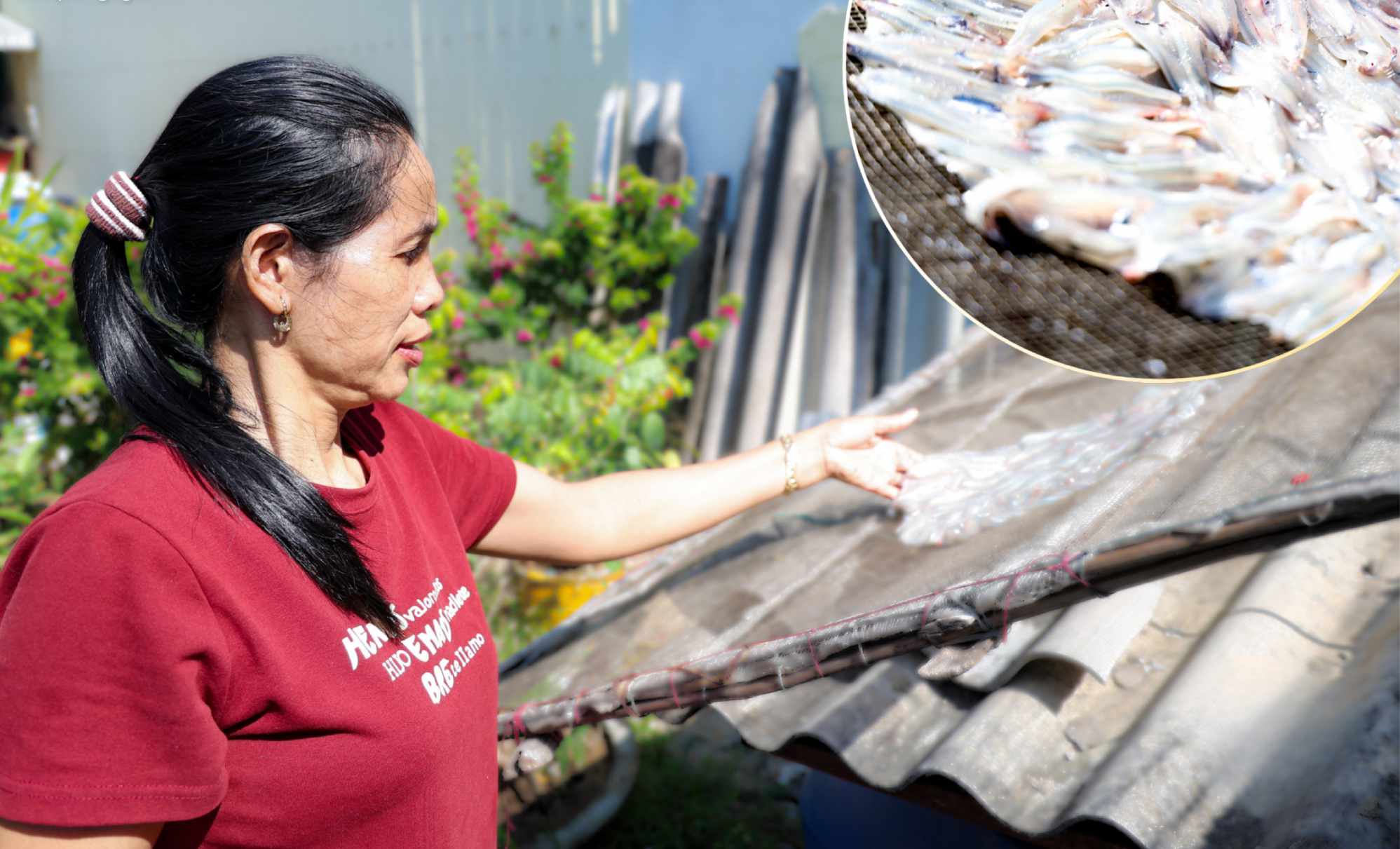 Bánh tráng cá cơm được xếp lên giàn phơi dưới nắng để cá se lại và bám chặt vào mặt bánh. Ảnh: Đông Giang