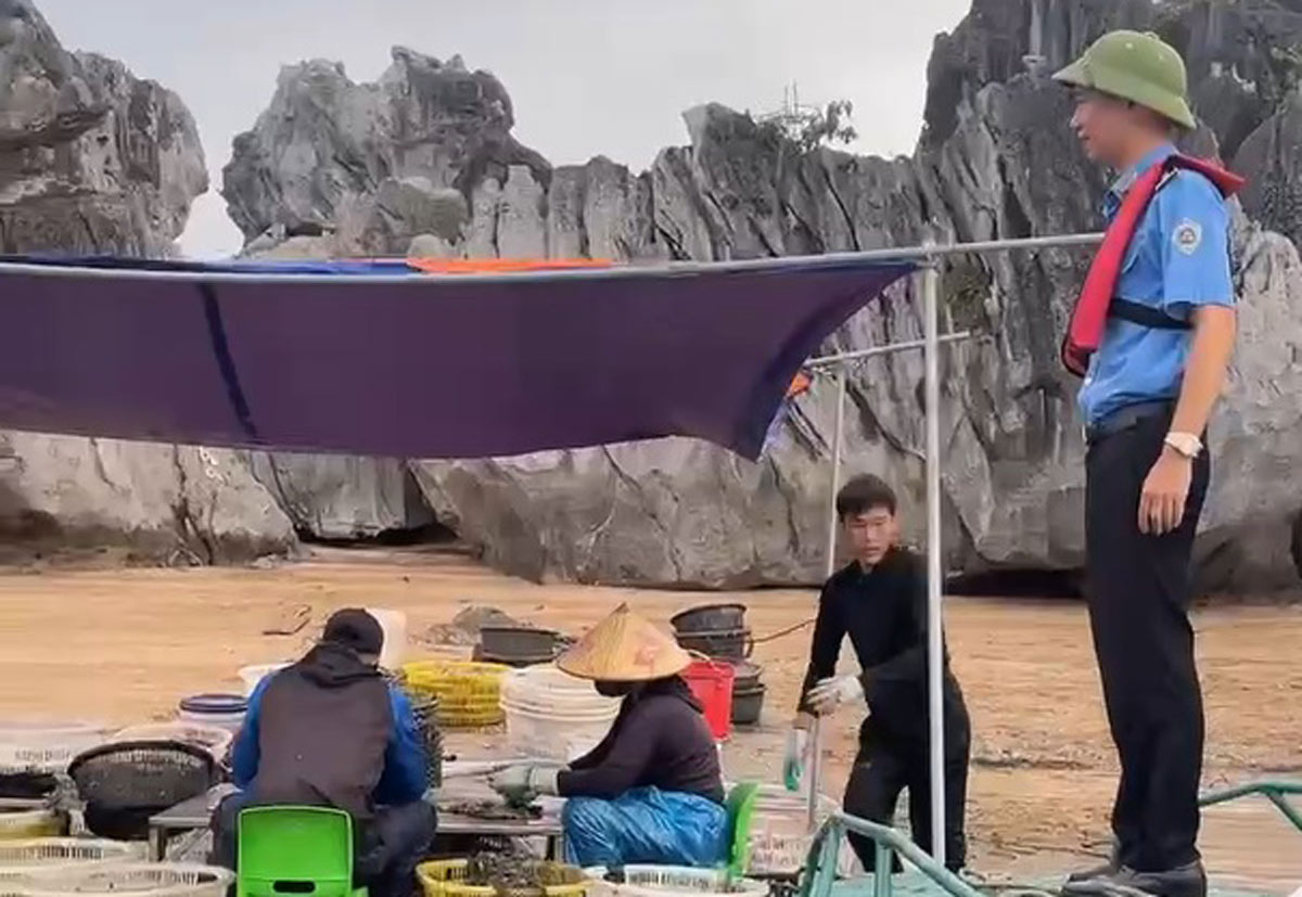 Las fuerzas funcionales exigen el cese inmediato de la práctica de la acuicultura ilegal en la bahía de Ha Long. Foto: Doan Hung