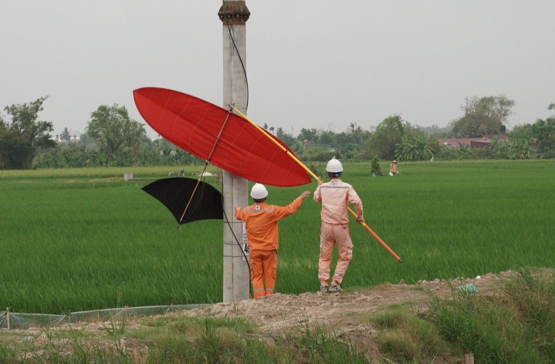 凧や飛行物が送電網に引っかかると、事故や電気事故の危険性が潜んでいます。写真:ハイフォン電力会社