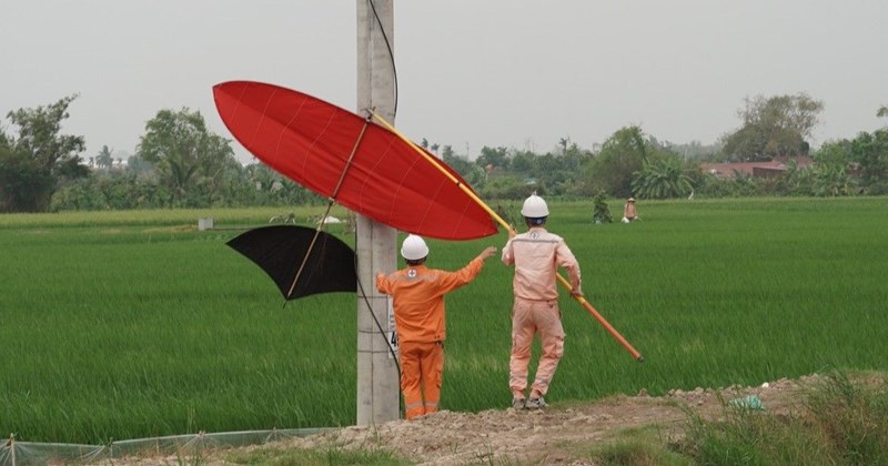 Gần 100 sự cố lưới điện ở Hải Phòng liên quan đến thả diều