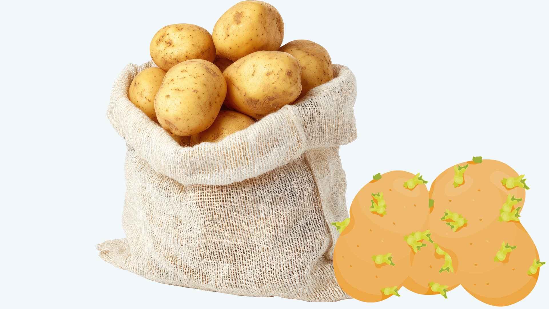 Tips for preserving potatoes to prevent them from sprouting quickly. Graphic photo: Hoang Loc.
