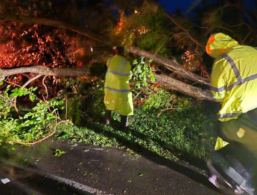 Les forces de l'ordre nettoient les arbres tombés dans les rues de Saipan (îles Mariannes du Nord, États-Unis) en raison de l'impact du super typhon Sinlaku. Photo: CNMI Fire and Emergency Medical Services. DFEMS