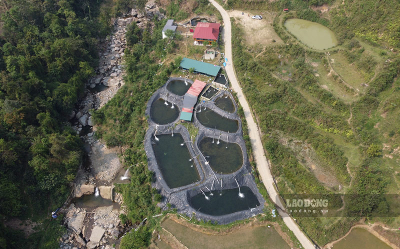 Trăm hộ dân xã Hạnh Phúc chung nỗi lo khi dòng suối Tà Xùa ngày ngày hứng chịu nước thải từ trại cá không phép. Ảnh: Tân Văn
